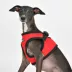 Puppia® Step-In Soft Vest Dog Harness image thumbnail 4