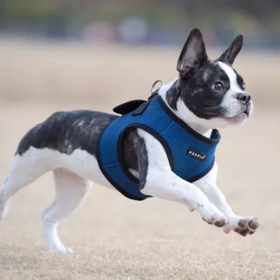 Product Puppia® Step-In Soft Vest Dog Harness