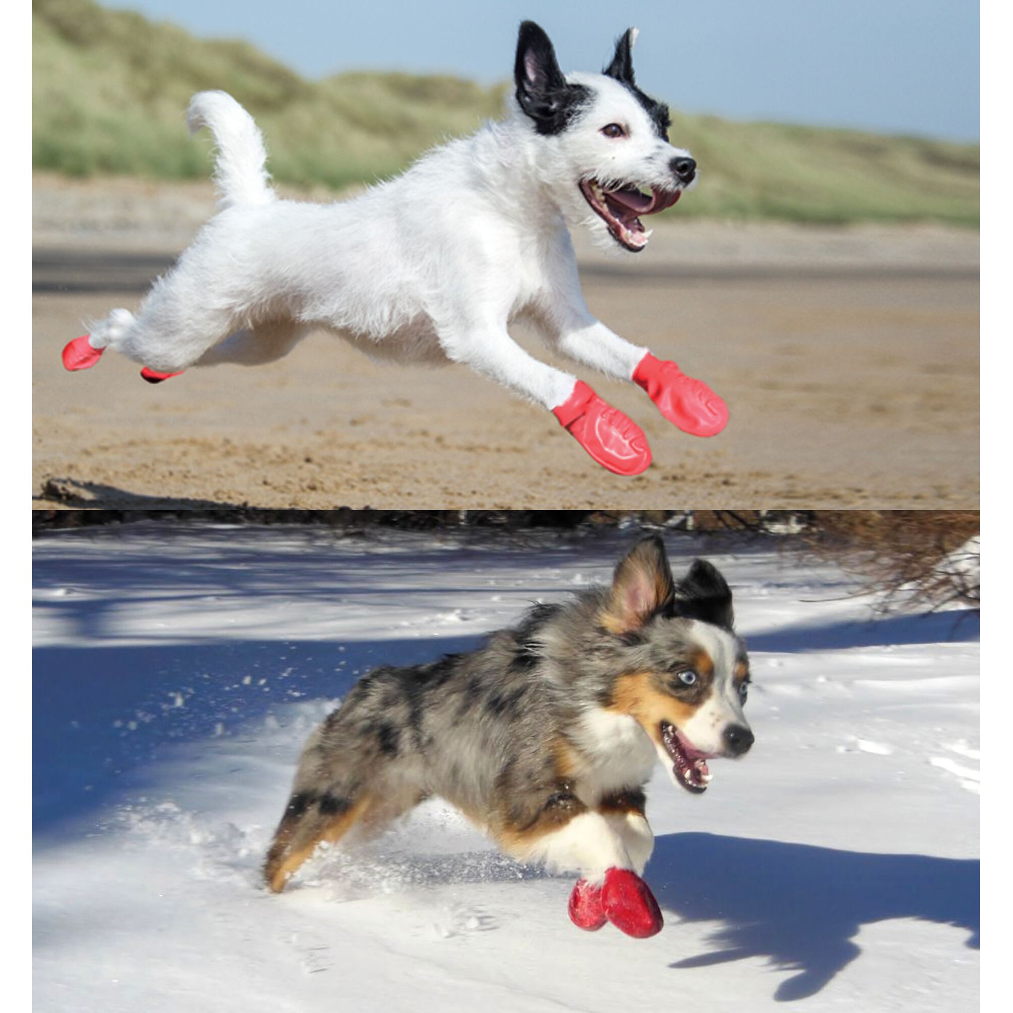 petsmart rubber dog boots