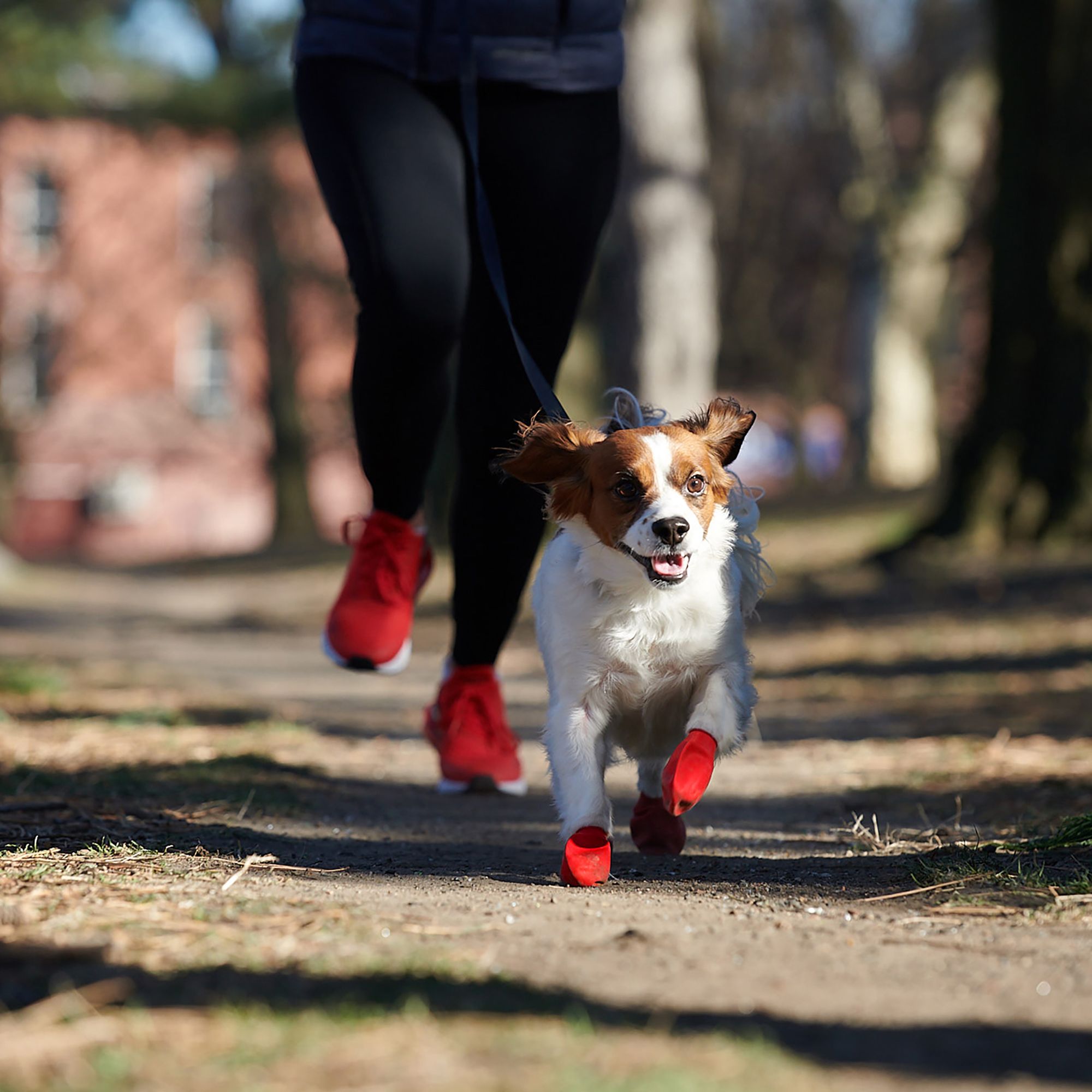 PawZ Rubber Dog Boots