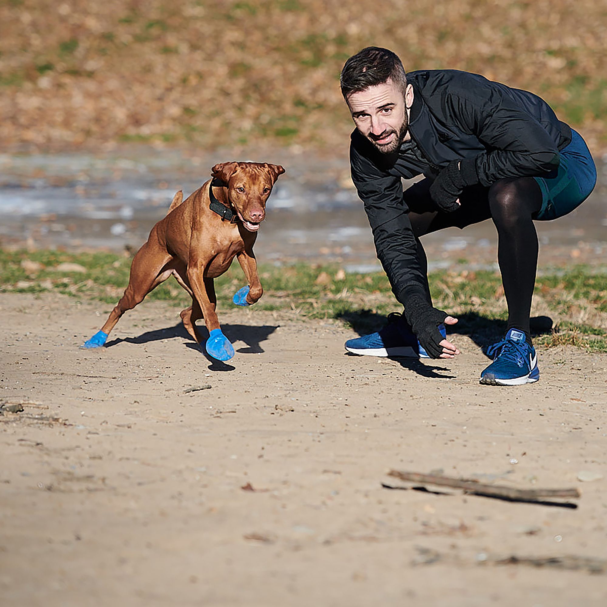 petsmart rubber dog boots