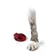 Product PawZ® Rubber Dog Boots