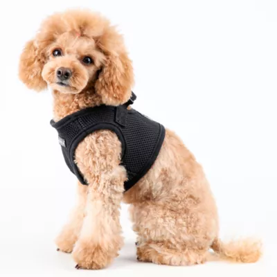 Puppia® Step-In Soft Vest Dog Harness - Image 4