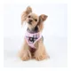 Product Puppia® Junior Over-the-Head Dog Harness