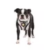 Puppia® Junior Over-the-Head Dog Harness image thumbnail 3