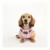 Puppia® Junior Step-In Vest Dog Harness image thumbnail 3