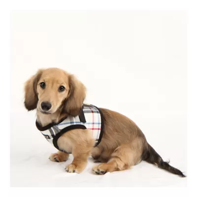 Puppia® Junior Step-In Vest Dog Harness - Image 3
