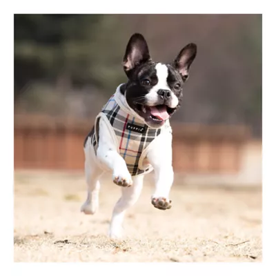 Product Puppia® Junior Step-In Vest Dog Harness
