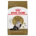 Royal Canin Feline Persian Adult Dry Cat Food, Breed Nutrition image thumbnail 1