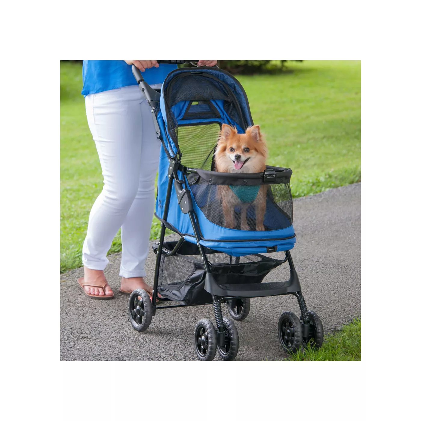 Dog stroller petsmart best sale