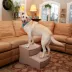 Pet Gear Easy Step II Extra Wide Pet Steps image thumbnail 2