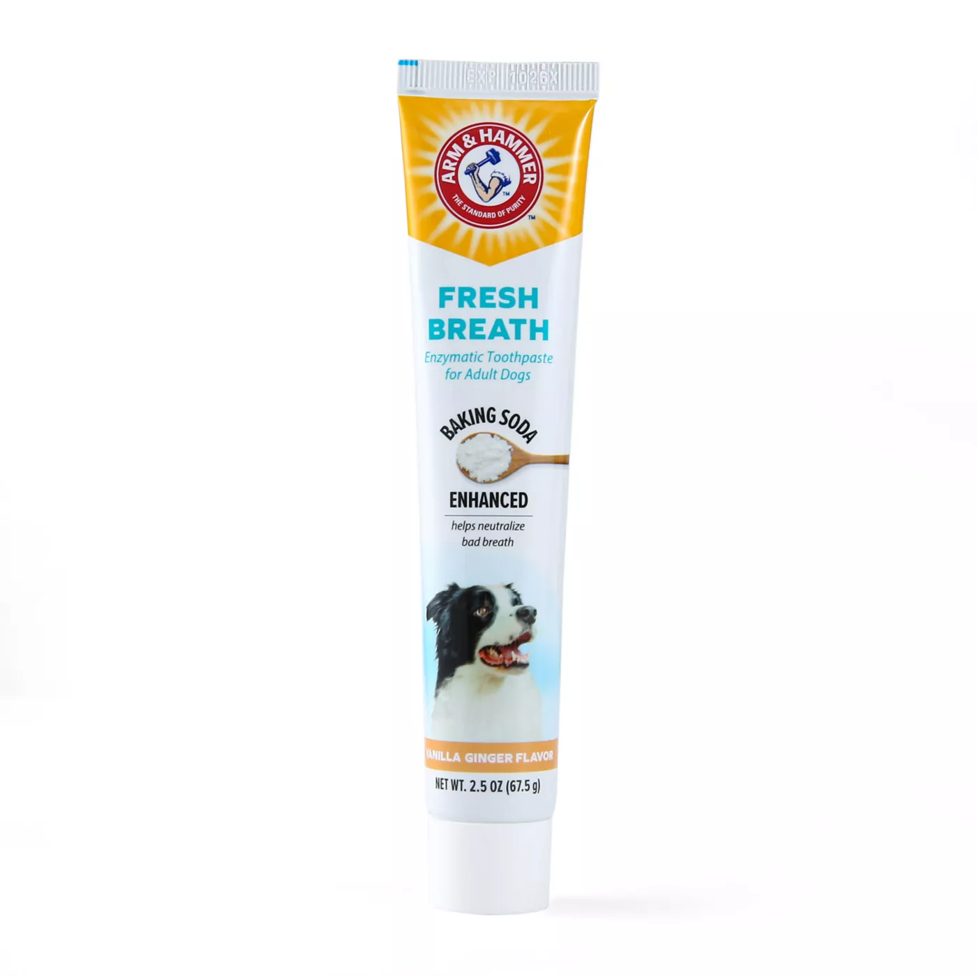 Dog toothpaste reviews best sale