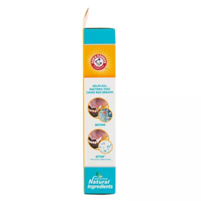 Product Arm & Hammer Fresh Breath Enzymatic Dog Toothpaste - Vanilla Ginger