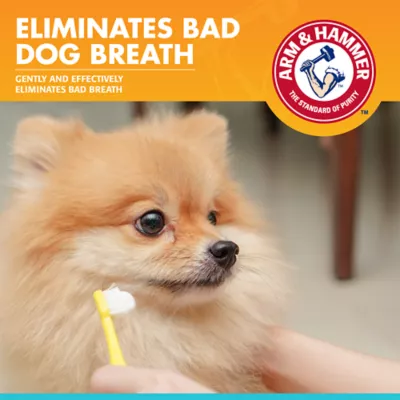 Arm & Hammer Fresh Breath Enzymatic Dog Toothpaste - Vanilla Ginger - Image 8