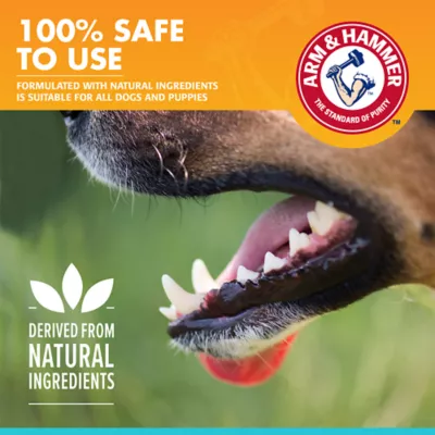 Arm & Hammer Fresh Breath Enzymatic Dog Toothpaste - Vanilla Ginger - Image 9