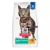 Hill's® Science Diet® Perfect Weight Adult Dry Cat Food - Chicken image thumbnail 1