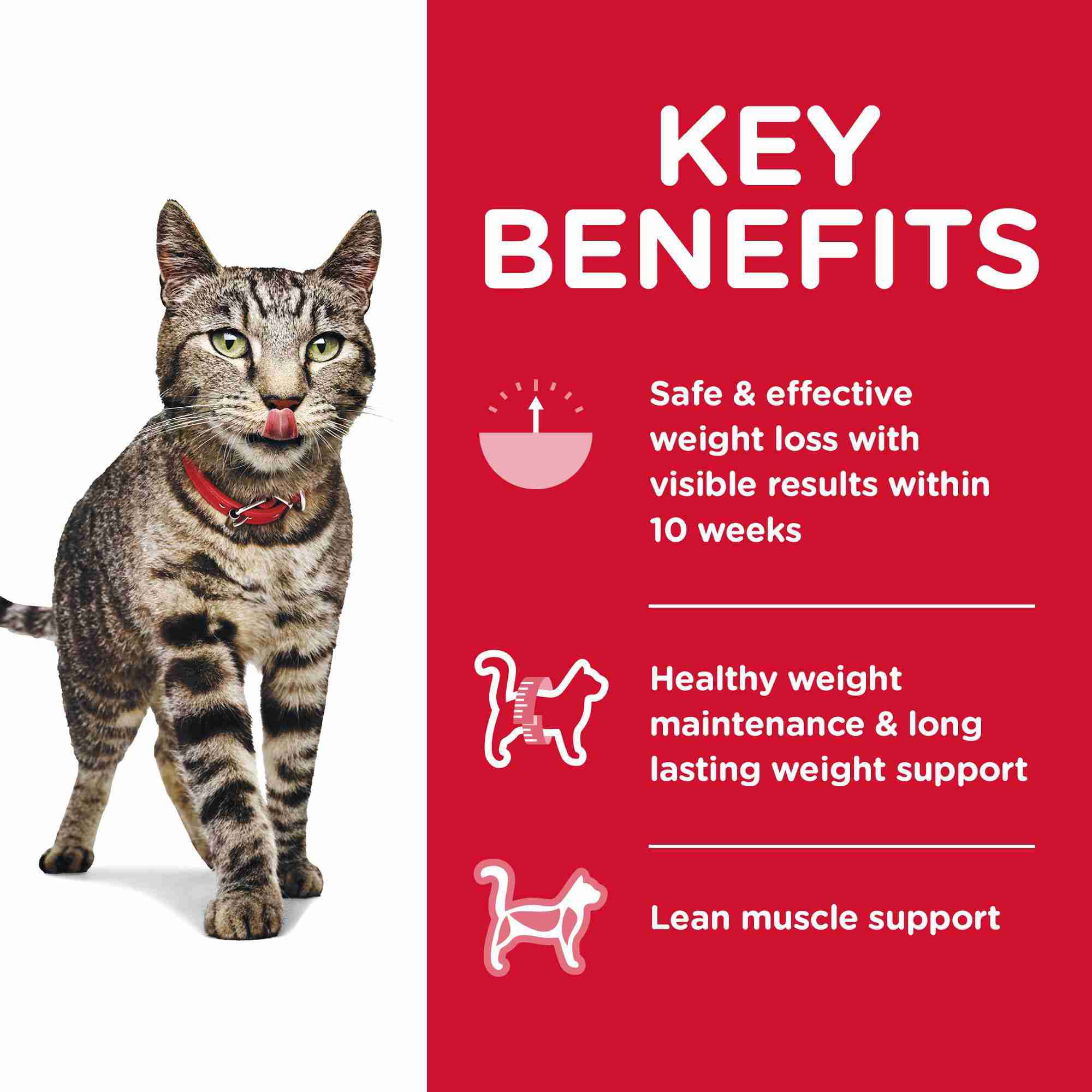 science diet perfect weight cat food