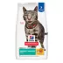 Hill's® Science Diet® Perfect Weight Adult Dry Cat Food - Chicken image thumbnail 1
