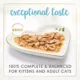 Product Fancy Feast® Gravy Lovers All Life Stages Cat Wet Food - 3 OZ