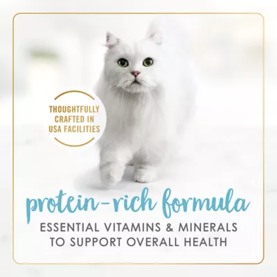 Product Fancy Feast® Gravy Lovers All Life Stages Cat Wet Food - 3 OZ
