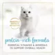 Product Fancy Feast® Gravy Lovers All Life Stages Cat Wet Food - 3 OZ