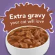 Product Purina® Friskies® Extra Gravy All Life Stages Cat Wet Food - 6.04 oz.