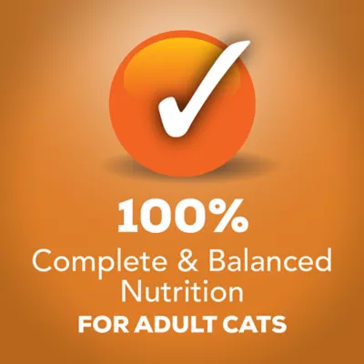 Product Friskies® Extra Gravy All Life Stages Cat Wet Food - 6.04 oz.