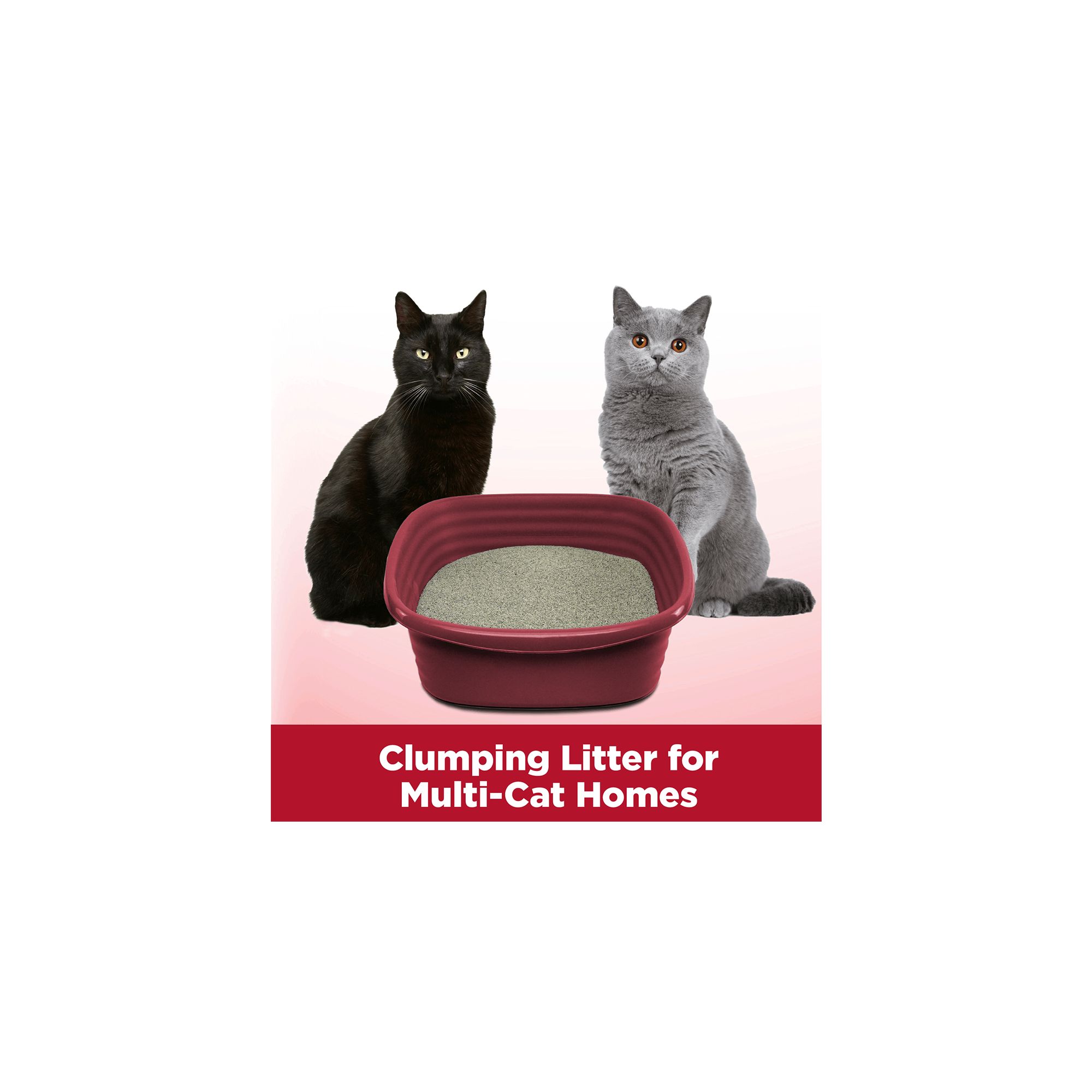 Arm Hammer Clump Seal Clumping Multi Cat Clay Cat Litter Low Dust