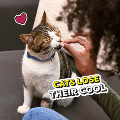 Product Temptations™ Classic Adult Cat Treats - Soft & Crunchy, Tasty Chicken