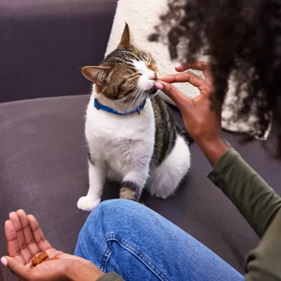 Product Temptations™ Classic Adult Cat Treats - Soft & Crunchy, Tasty Chicken