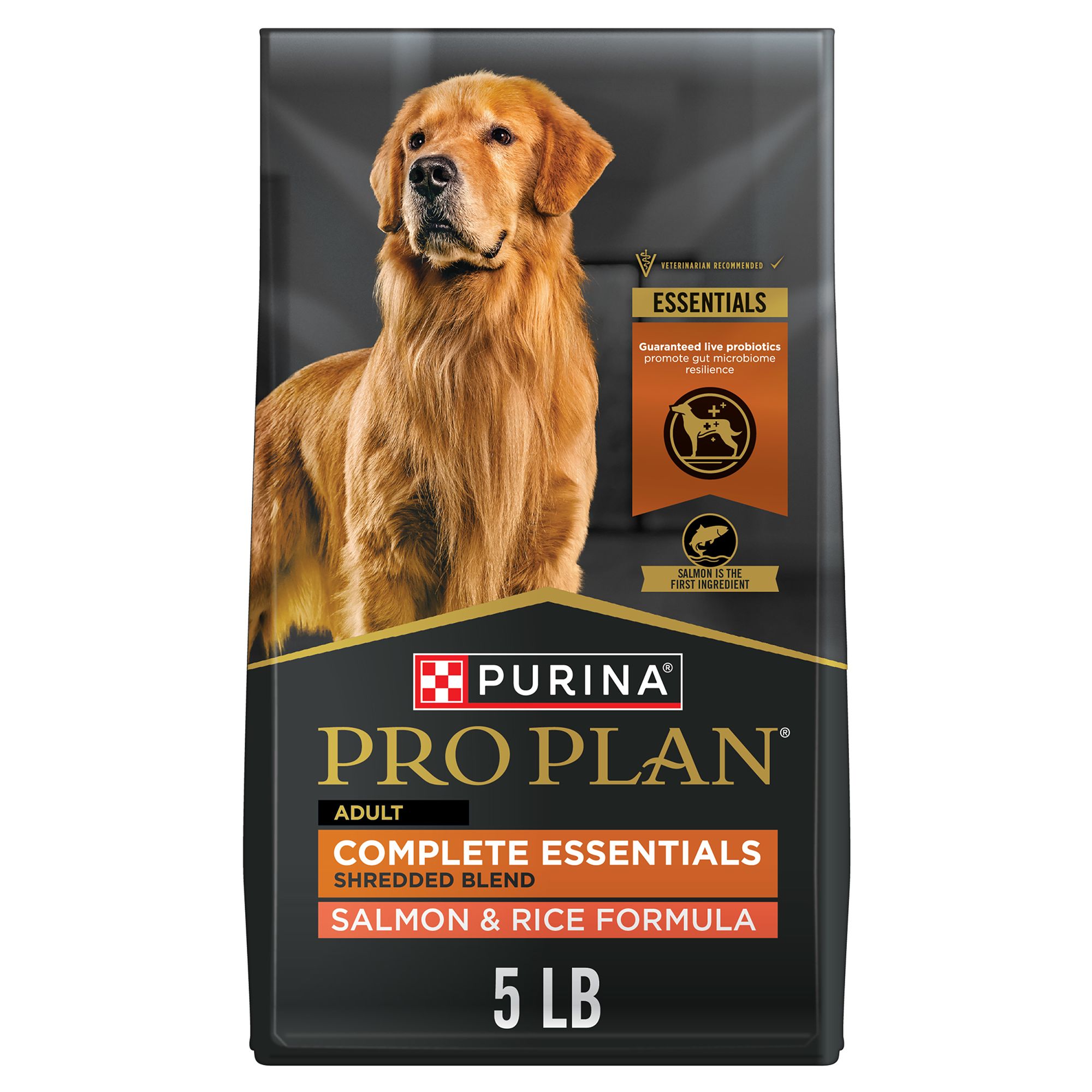 High protein 2024 dog food petsmart