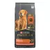 Purina Pro Plan Complete Essentials Shredded Blend Adult Dry Dog Food - Salmon & Rice image thumbnail 7