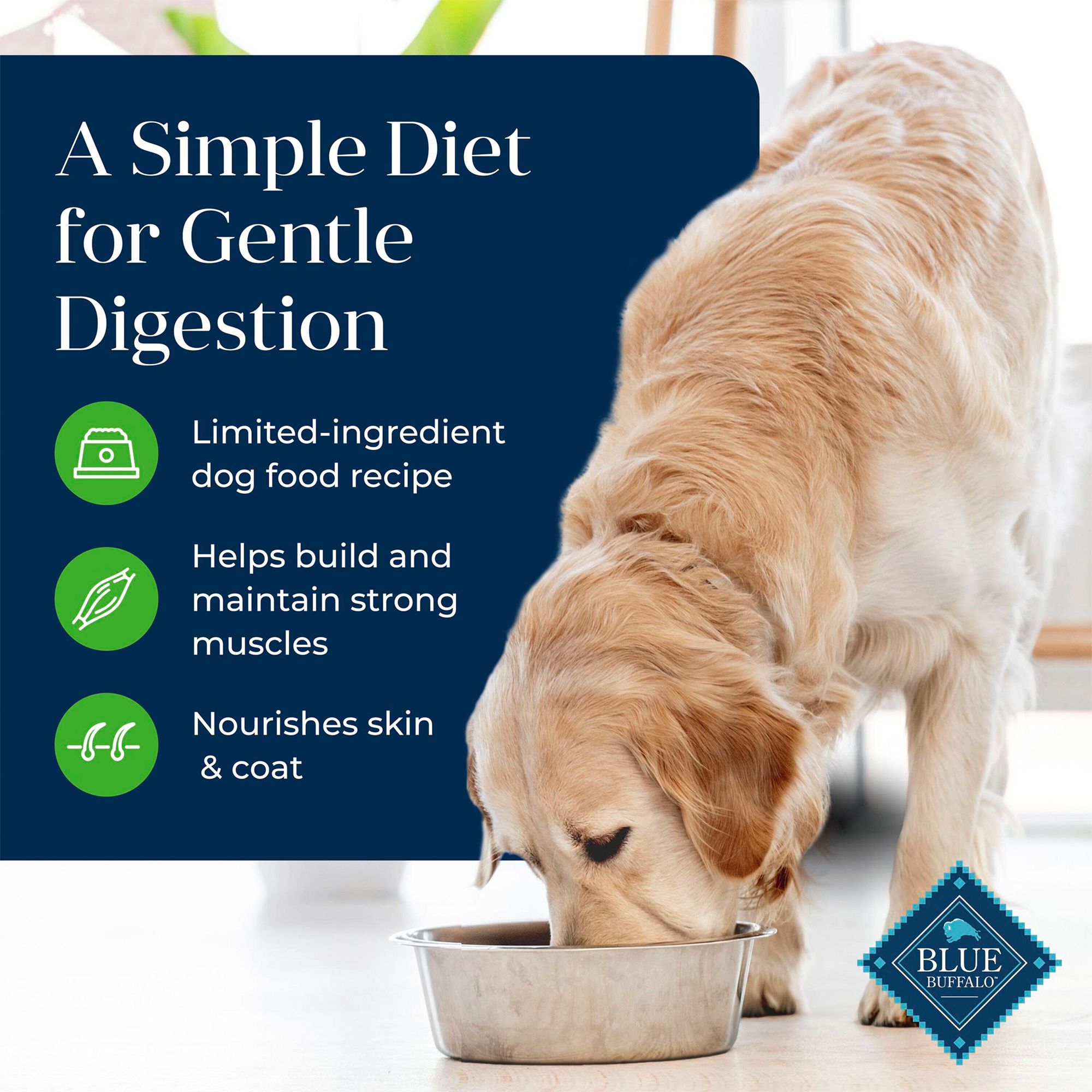 blue buffalo basics lamb