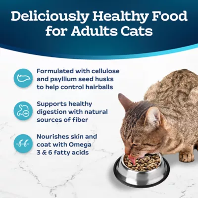 Product Blue Buffalo Life Protection Formula Adult Dry Cat Food - Natural, Chicken