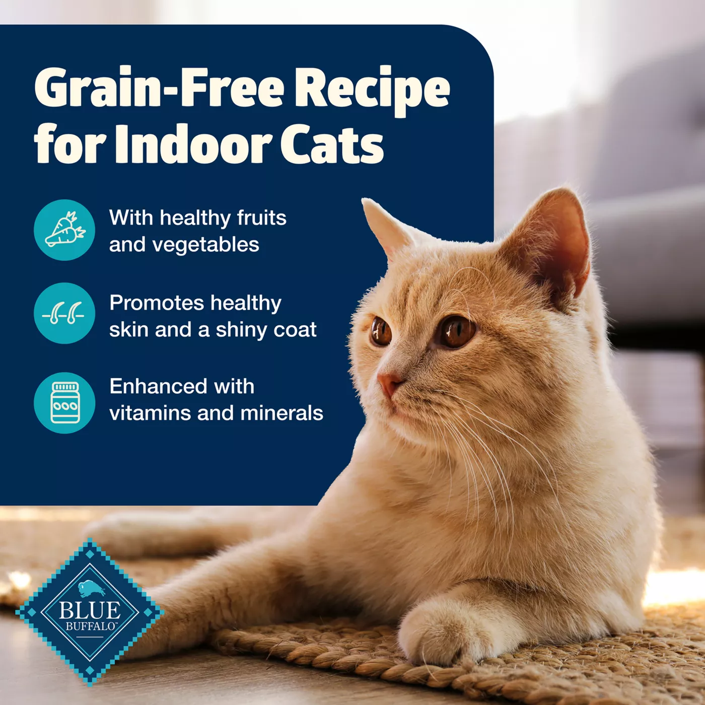 Blue freedom indoor adult wet cat food hotsell