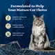 Product Blue Buffalo® Wilderness™  Senior Wet Cat Food - Grain Free, 5.5 Oz.