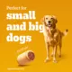 Product Pedigree Marrobone Adult Dog Treats Bacon & Cheese Flavour with Real Bone Marrow, Vitamin Enriched