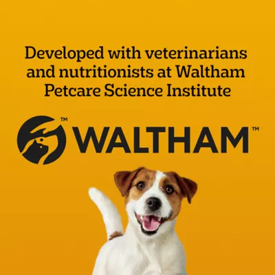Product Pedigree Marrobone Adult Dog Treats Bacon & Cheese Flavour with Real Bone Marrow, Vitamin Enriched
