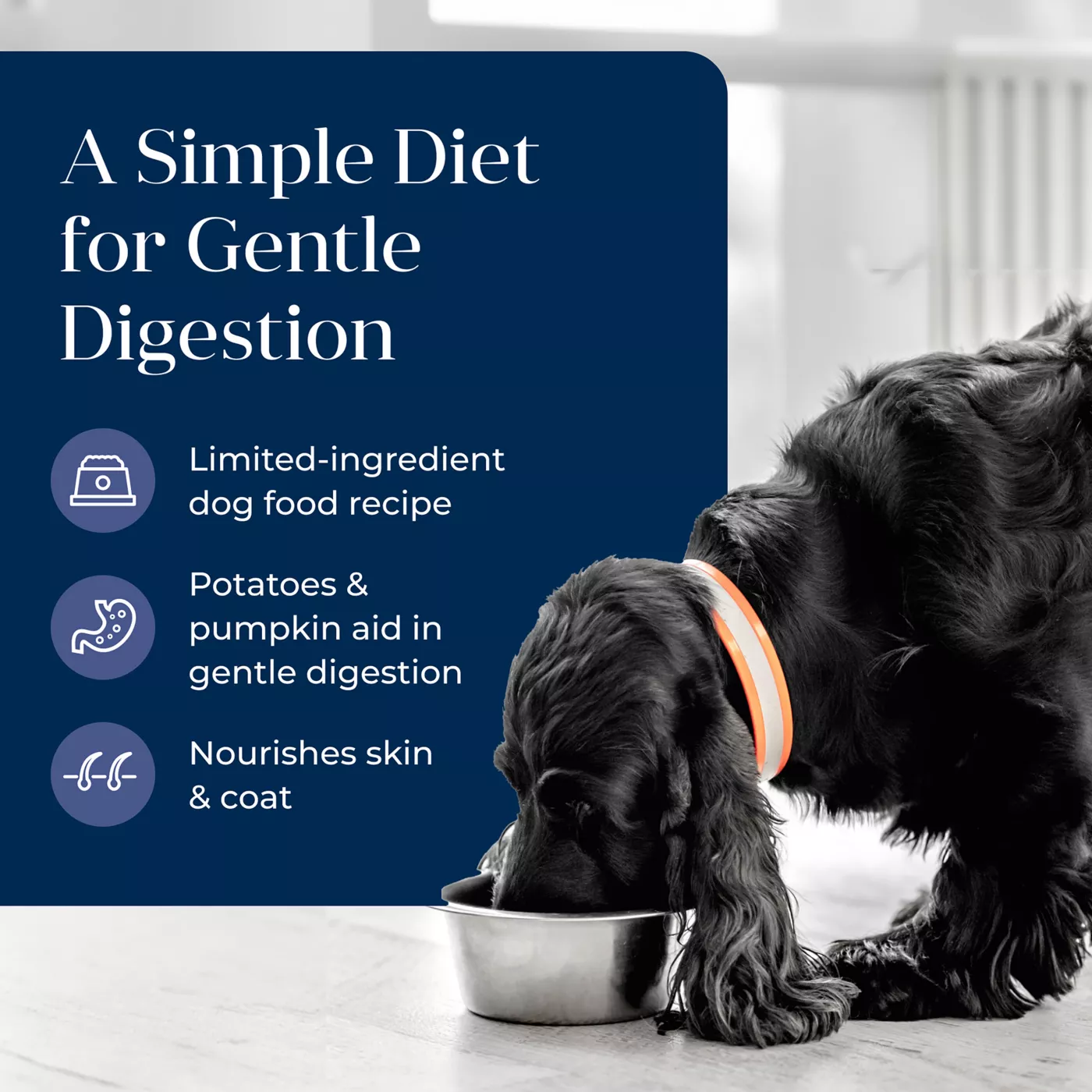 Gentle diet dog food sales