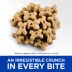 Hill's® Science Diet® Crunchy Dog Treat - Natural, Grain Free, Chicken & Apples image thumbnail 3