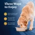 Blue Buffalo Wilderness High Protein Adult Healthy Weight Wet Dog Food - Grain Free, Pate, 12.5 oz image thumbnail 7