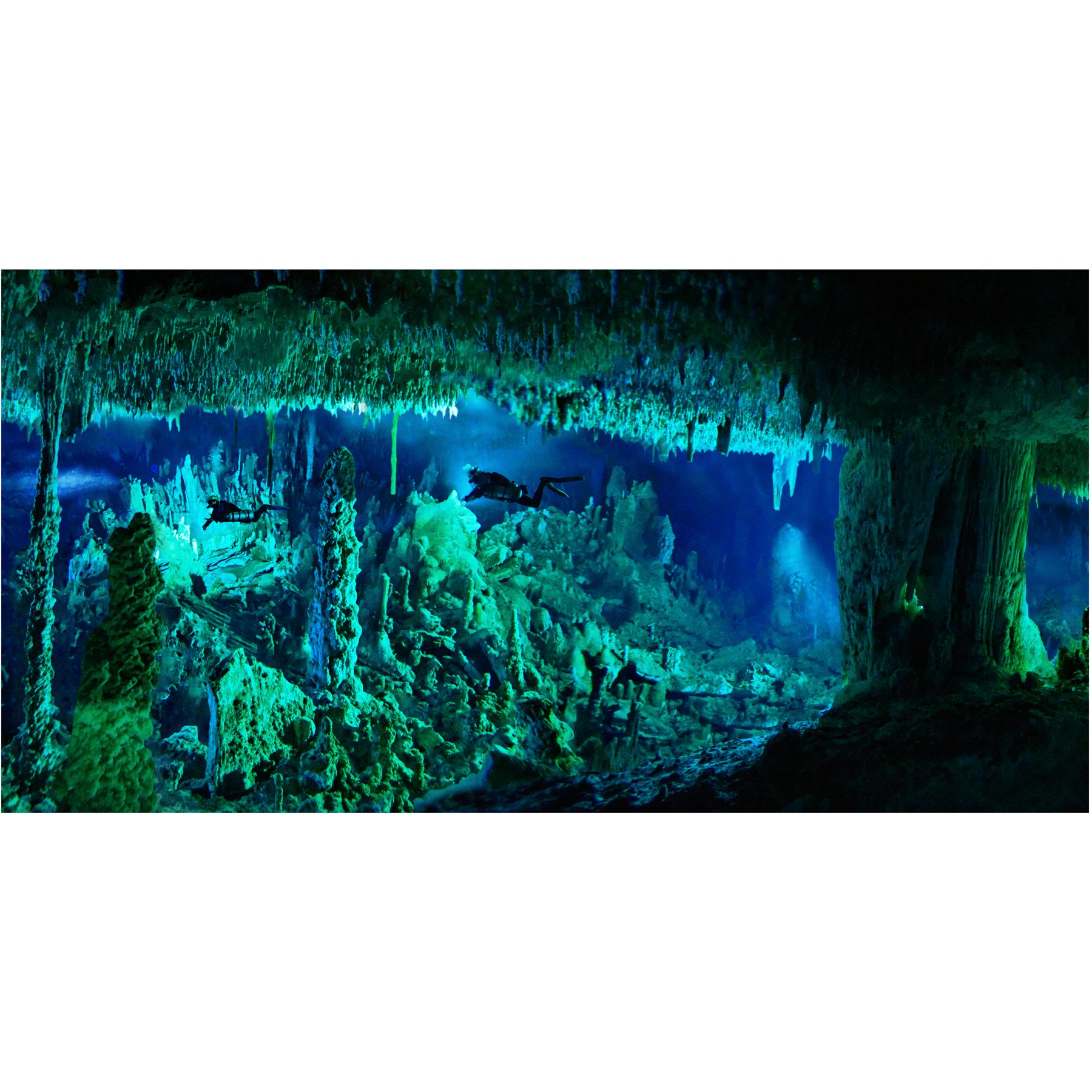 National Geographic\u2122 3D Lenticular Cave Aquarium Background  fish Backgrounds  PetSmart