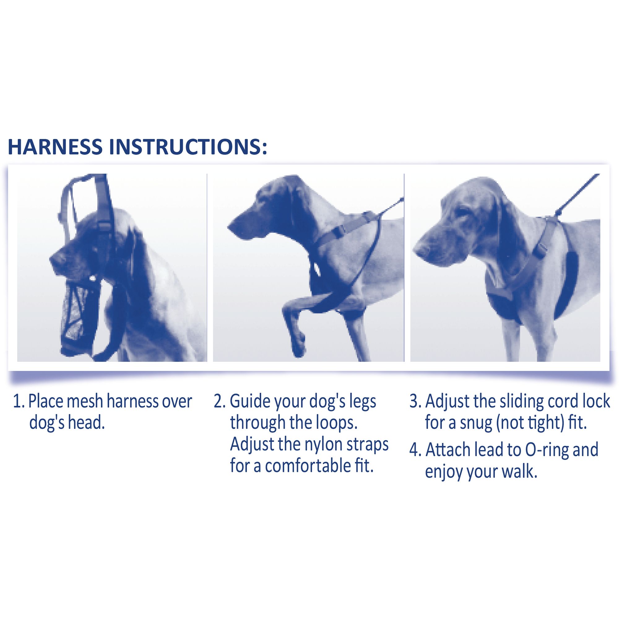 freedom no pull harness petsmart