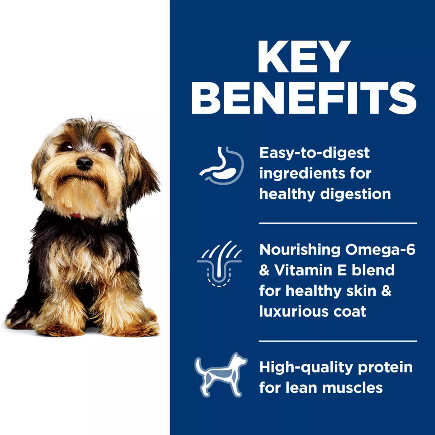 Hill s Science Diet Small Mini Adult Dry Dog Food Lamb Meal Brown Rice