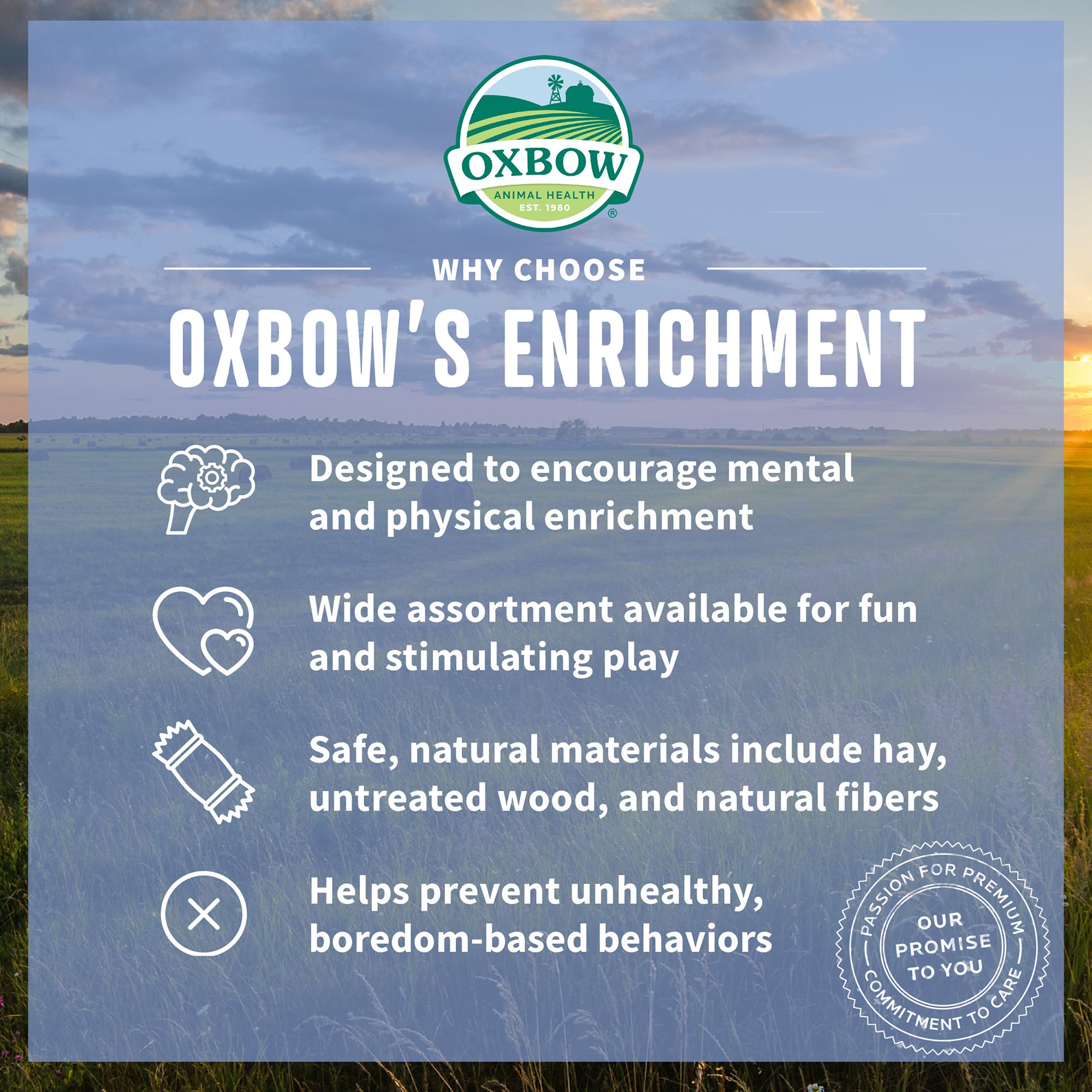 Oxbow Small Pet Timothy Hay Chew Mat - thumbnail 3