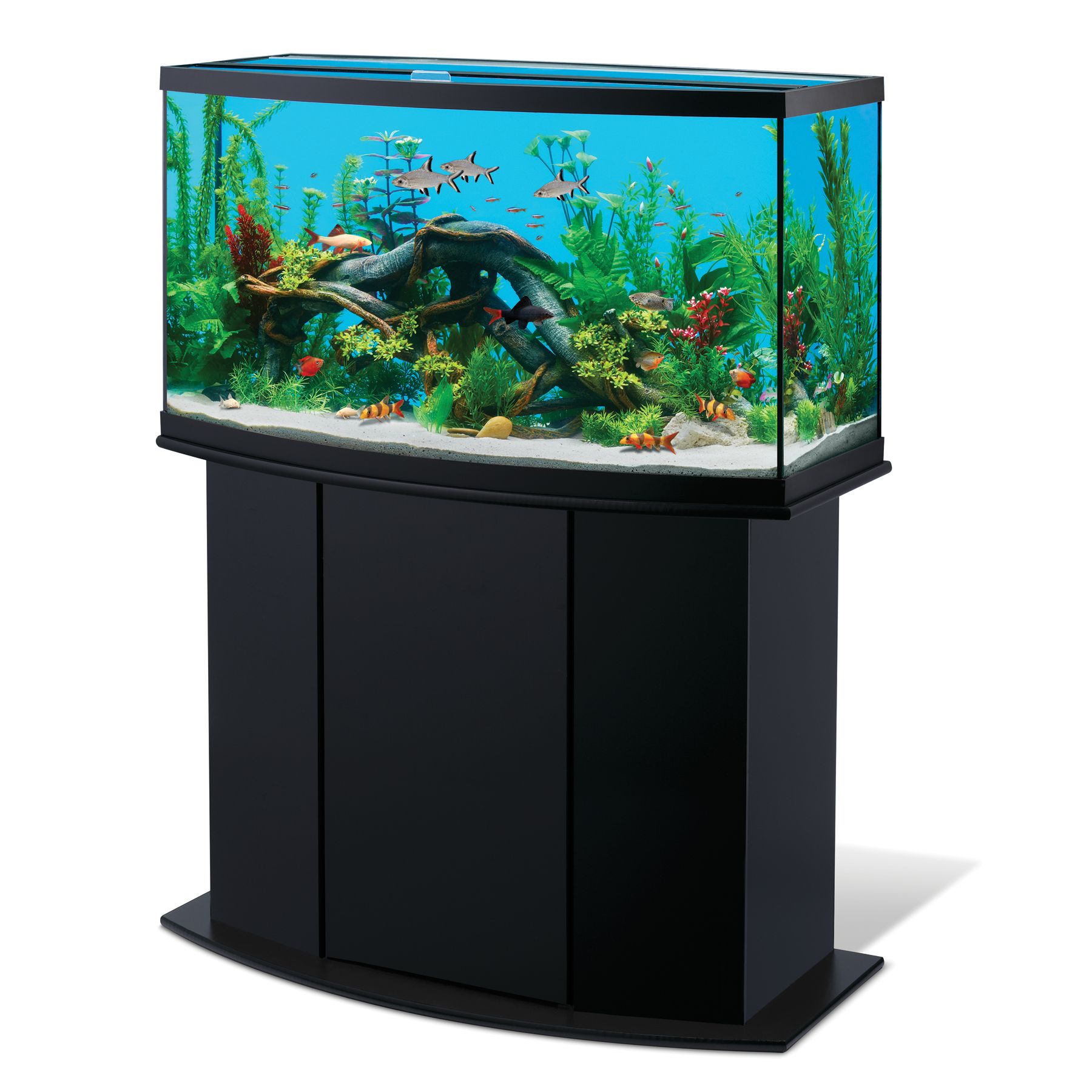 National Geographic™ 46 Gallon Aqua Oasis Aquarium Ensemble fish