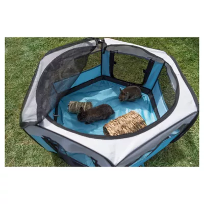 Pet playpen petsmart hotsell