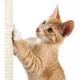 Product  TRIXIE 42-in Palamos Cat Tree