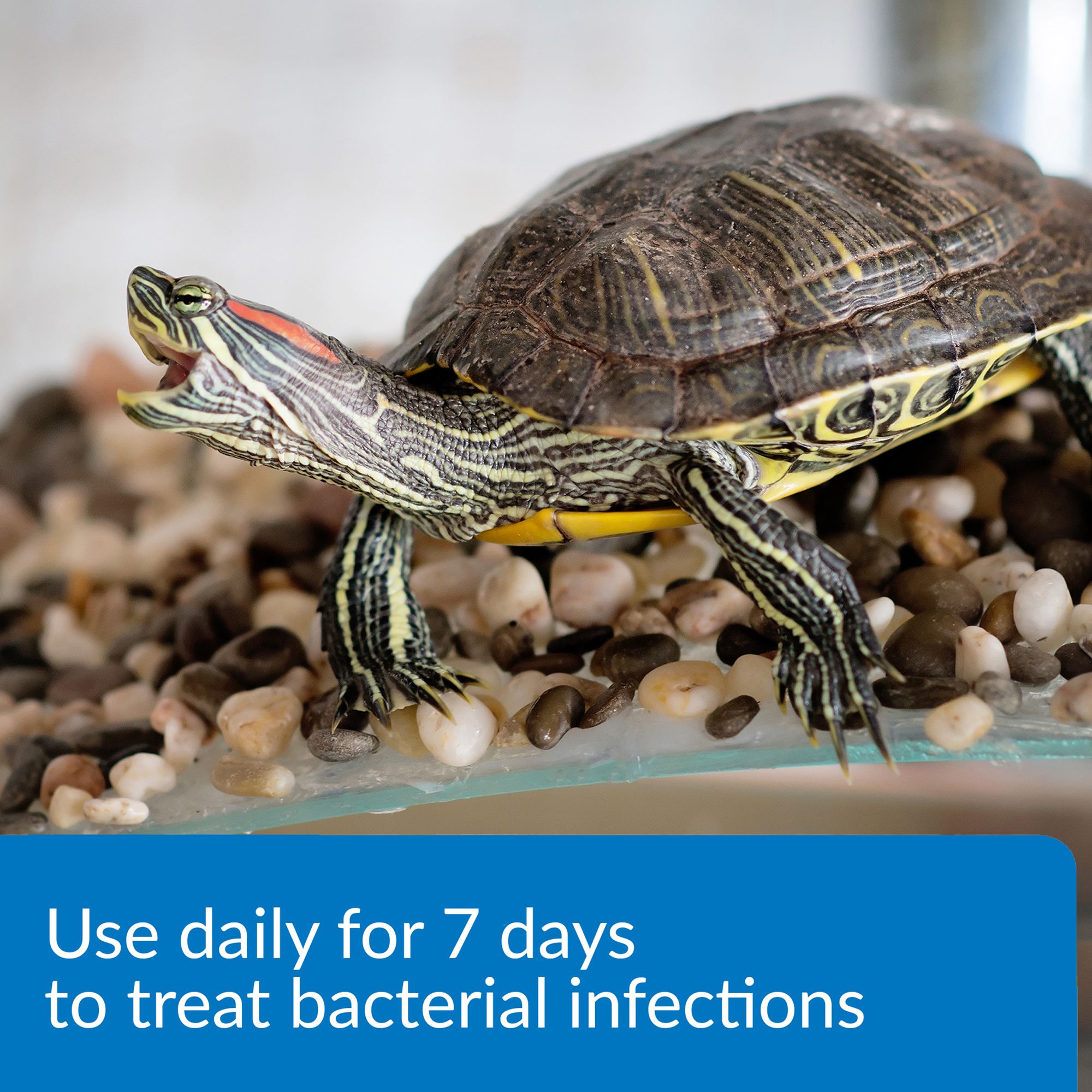 API® Turtle Fix - Turtle Health Care - 8 oz - thumbnail 3