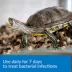 API® Turtle Fix image thumbnail 3